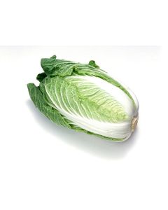 CHINESE CABBAGES